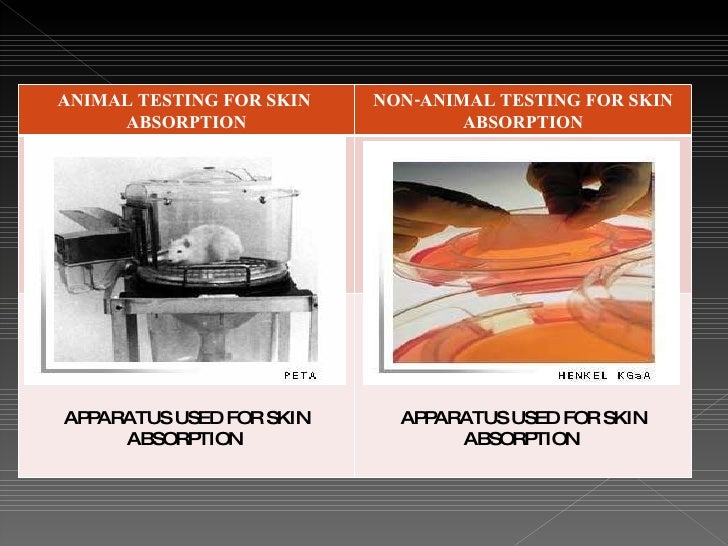 Alternatives To Animal Testing
