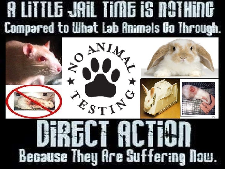 Alternatives To Animal Testing