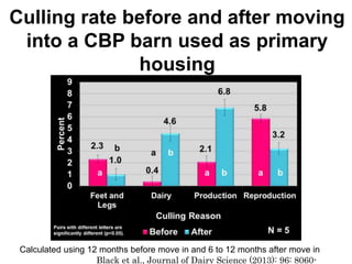 Culling rate before and after moving
into a CBP barn used as primary
housing
Calculated using 12 months before move in and 6 to 12 months after move in
Black et al., Journal of Dairy Science (2013): 96: 8060-
 