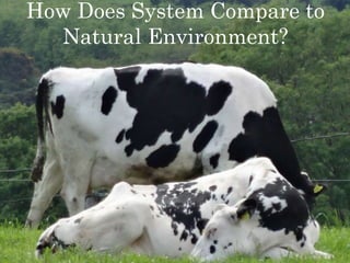 How Does System Compare to
Natural Environment?
 