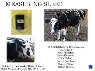 Klefot, et al., Journal of Dairy Science,
2016, Volume 99 , Issue 10 , 8477 - 8485
OSU/UT/UK Sleep Collaboration
Jessie Kull
Katy Proudfoot
Peter Krawczel
Gina Pighetti
Kevin Donohue
Bruce O’Hara
Jeffrey Bewley
 