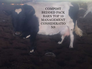 COMPOST
BEDDED PACK
BARN TOP 10
MANAGEMENT
CONSIDERATIO
NS
 