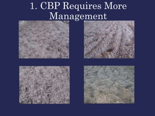 1. CBP Requires More
Management
 