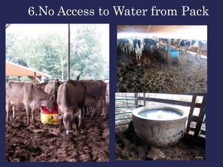 6.No Access to Water from Pack
 