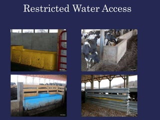 Restricted Water Access
 