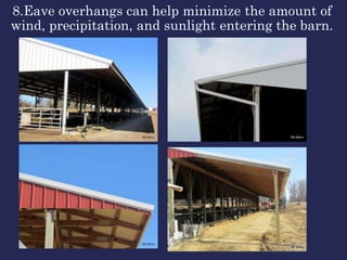 8.Eave overhangs can help minimize the amount of
wind, precipitation, and sunlight entering the barn.
 