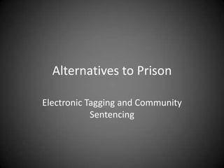 Alternatives to Prison Electronic Tagging and Community Sentencing 