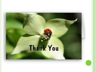 Alternative & Complementary Therapies