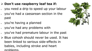 Don't use raspberry leaf tea if:
 you need a drip to speed up your labour
 you've had a caesarean section in the
past
 you’re having a planned caesarean
 you've had any problems with bleeding
 you've had premature labour in the past
 Blue cohosh should never be used. It has
been linked to serious side-effects in
babies, including stroke and heart
 