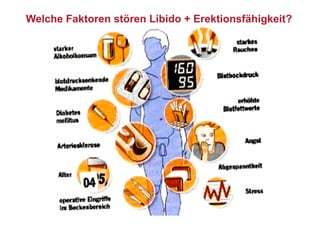 Welche Faktoren stören Libido + Erektionsfähigkeit?
 