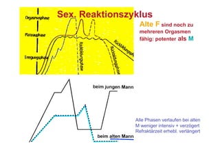 Sex. Reaktionszyklus
                  Alte F sind noch zu
                  mehreren Orgasmen
                  fähig: potenter als M




                Alle Phasen verlaufen bei alten
                M weniger intensiv + verzögert
                Refraktärzeit erhebl. verlängert
 