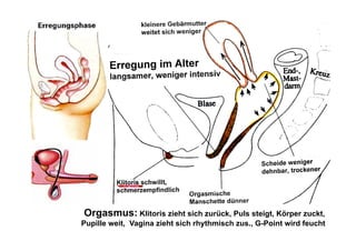 Orgasmus: Klitoris zieht sich zurück, Puls steigt, Körper zuckt,
Pupille weit, Vagina zieht sich rhythmisch zus., G-Point wird feucht
 