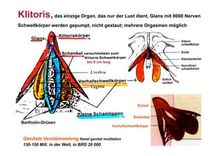 Klitoris, das einzige Organ, das nur der Lust dient, Glans mit 8000 Nerven
Schwellkörper werden gepumpt, nicht gestaut; mehrere Orgasmen möglich




                                  bis 9 cm lang




                                                         ----




                                                                 Eichel


                                                             Schenkel
 Bartholin-Drüsen
                                                  Vorhofschwellkörper


  Genitale Verstümmelung femal genital mutilation
  130-150 Mill. in der Welt, in BRD 20 000
 