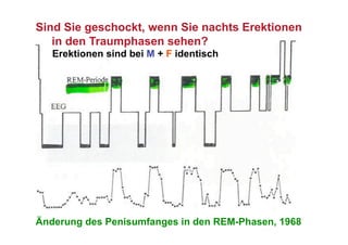 Sind Sie geschockt, wenn Sie nachts Erektionen
   in den Traumphasen sehen?
   Erektionen sind bei M + F identisch




Änderung des Penisumfanges in den REM-Phasen, 1968
 