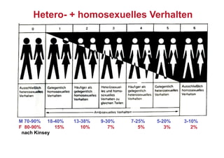 Hetero- + homosexuelles Verhalten




M 70-90% 18-40%    13-38%   9-30%   7-25%   5-20%   3-10%
F 80-90%     15%      10%      7%      5%      3%      2%
 nach Kinsey
 