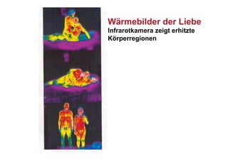 Wärmebilder der Liebe
Infrarotkamera zeigt erhitzte
Körperregionen
 
