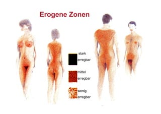 Erogene Zonen




          stark
         erregbar


         mittel
         erregbar


         wenig
         erregbar
 