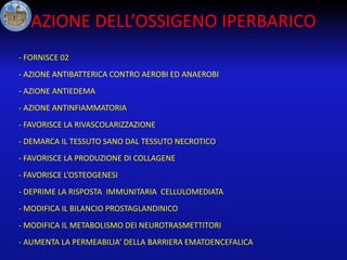 AZIONE DELL’OSSIGENO IPERBARICO
- FORNISCE 02
- AZIONE ANTIBATTERICA CONTRO AEROBI ED ANAEROBI
- AZIONE ANTIEDEMA
- AZIONE ANTINFIAMMATORIA
- FAVORISCE LA RIVASCOLARIZZAZIONE
- DEMARCA IL TESSUTO SANO DAL TESSUTO NECROTICO

- FAVORISCE LA PRODUZIONE DI COLLAGENE
- FAVORISCE L’OSTEOGENESI
- DEPRIME LA RISPOSTA IMMUNITARIA CELLULOMEDIATA
- MODIFICA IL BILANCIO PROSTAGLANDINICO
- MODIFICA IL METABOLISMO DEI NEUROTRASMETTITORI
- AUMENTA LA PERMEABILIA’ DELLA BARRIERA EMATOENCEFALICA

 