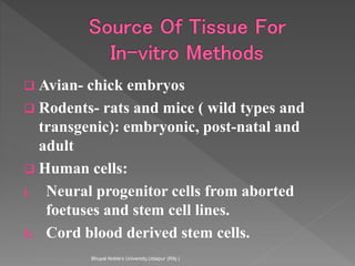  Avian- chick embryos
 Rodents- rats and mice ( wild types and
transgenic): embryonic, post-natal and
adult
 Human cells:
i. Neural progenitor cells from aborted
foetuses and stem cell lines.
ii. Cord blood derived stem cells.
Bhupal Noble's University,Udaipur (RAj.)
 