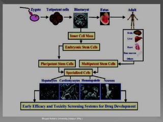 Bhupal Noble's University,Udaipur (RAj.)
 