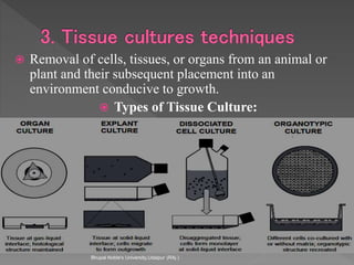  Removal of cells, tissues, or organs from an animal or
plant and their subsequent placement into an
environment conducive to growth.
 Types of Tissue Culture:
Bhupal Noble's University,Udaipur (RAj.)
 