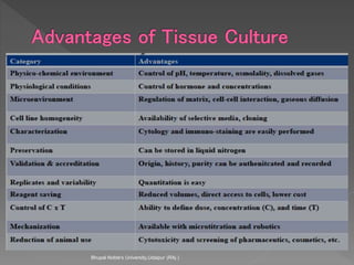 Bhupal Noble's University,Udaipur (RAj.)
 