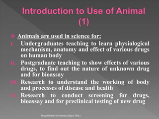  Animals are used in science for:
I. Undergraduates teaching to learn physiological
mechanism, anatomy and effect of various drugs
on human body
II. Postgraduate teaching to show effects of various
drugs, to find out the nature of unknown drug
and for bioassay
III. Research to understand the working of body
and processes of disease and health
IV. Research to conduct screening for drugs,
bioassay and for preclinical testing of new drug
Bhupal Noble's University,Udaipur (RAj.)
 