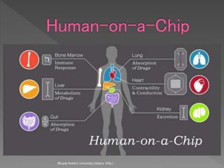 Bhupal Noble's University,Udaipur (RAj.)
 