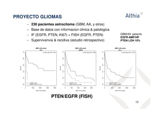 − 230 pacientes astrocitoma (GBM, AA, y otros) 
− Base de datos con informacion clinica  patologica 
− IF (EGFR, PTEN, Ki67) + FISH (EGFR, PTEN) 
− Supervivenvia  recidiva (estudio retrospectivo) 
12 
PROYECTO GLIOMAS 
AMP.LOH.comb 
0 1000 2000 3000 4000 
0.0 0.2 0.4 0.6 0.8 1.0 
Days from surgery 
Survival 
OTHER (n=25) 
AMP  LOH0.4 (n=10) 
p-value (log-rank): 0.001 
AA 
AMP.LOH.comb 
GBM 
0 500 1000 1500 2000 
0.0 0.2 0.4 0.6 0.8 1.0 
Days from surgery 
Survival 
OTHER (n=73) 
AMP  LOH0.4 (n=40) 
p-value (log-rank): 0.002 
AMP.LOH.comb 
ALL 
0 1000 2000 3000 4000 
0.0 0.2 0.4 0.6 0.8 1.0 
Days from surgery 
Survival 
OTHER (n=98) 
AMP  LOH0.4 (n=50) 
p-value (log-rank): 0.001 
PTEN/EGFR (FISH) 
GBM/AA patients 
EGFR AMP/HP 
PTEN LOH 10% 
 