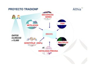 BBDDS 
PROYECTO TRADIONP 
DATOS 
CLINICOS 
15,000 
GENOTIPAJE (SNPs) 
HISTOLOGIA PRECISA 
FISH 
MULTIPLEX 
SECUENCIAS 
GENES 
METILACION 
 