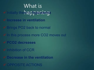 What is
happening
 Initially there is hypoxemia
 Increase in ventilation
 Brings PO2 back to normal
 In this process more CO2 moves out
 PCO2 decreases
 Inhibition of CCR
 Decrease in the ventilation
 OPPOSITE ACTIONS
 