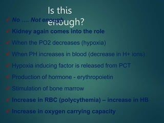 Is this
enough?
 No …. Not enough
 Kidney again comes into the role
 When the PO2 decreases (hypoxia)
 When PH increases in blood (decrease in H+ ions)
 Hypoxia inducing factor is released from PCT
 Production of hormone - erythropoietin
 Stimulation of bone marrow
 Increase in RBC (polycythemia) – increase in HB
 Increase in oxygen carrying capacity
 