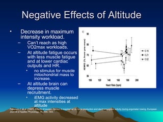 Negative Effects of Altitude Decrease in maximum intensity workload. Can’t reach as high VO2max workloads. At altitude fatigue occurs with less muscle fatigue and at lower cardiac outputs and HR.  no stimulus for muscle mitochondrial mass to increase. At altitude brain can depress muscle recruitment. iEMG activity decreased at max intensities at altitude Peltonen, J. et al. (1997). Effects of oxygen fraction in inspired air on force production and electromyogram activity during ergometer rowing. European Journal of Applied Physiology, 76, 495– 503. 