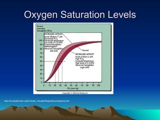 Oxygen Saturation Levels http://humboldt.edu/~pdb1/Audio_Visuals/Respiratory/resptrans.htm 