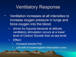 Ventilatory Response Ventilation increases at all intensities to increase oxygen pressure in lungs and force oxygen into the blood. driven by hypoxia because at altitude ventilatory stimulation occurs at a lower level of Carbon Dioxide than at sea level. Effect: Increased alveolar Po2.  Left shift of oxyhemoglobin dissociation curve Brooks, G. (2005). Exercise Physiology 4th Ed. New York: Mcgraw-Hill. 