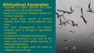 Altitudinal Ascension of Species Driven by Global Warming: Impacts and ...
