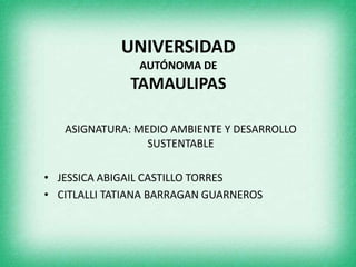 UNIVERSIDAD
AUTÓNOMA DE
TAMAULIPAS
ASIGNATURA: MEDIO AMBIENTE Y DESARROLLO
SUSTENTABLE
• JESSICA ABIGAIL CASTILLO TORRES
• CITLALLI TATIANA BARRAGAN GUARNEROS
 