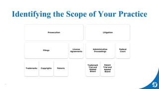 Identifying the Scope of Your Practice
15
Prosecution
Filings
Trademarks Copyrights Patents
License
Agreements
Litigation
...