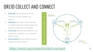 ORCID COLLECT AND CONNECT
● Collecting validated ORCID iDs for your
employees, members, affiliates, and
students…
● Displaying iDs to signal to your employees
and affiliates that your information systems are
plumbed to support their use of ORCID
● Connecting information about affiliation – and,
if applicable, contributions – to an individual’s
ORCID record,...
● Synchronizing with your systems to improve
reporting accuracy and speed
18
https://orcid.org/content/collect-connect
 