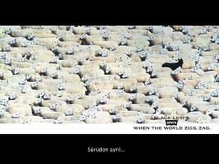 Sürüden ayrıl… 