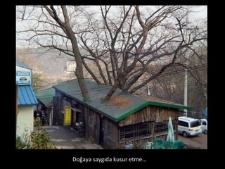 Doğaya saygıda kusur ٳ… 
