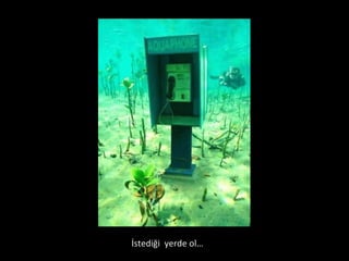 İstediği  yerde Ǳ… 