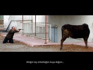 Attığın taş ürküttüğün kuşa değsin… 