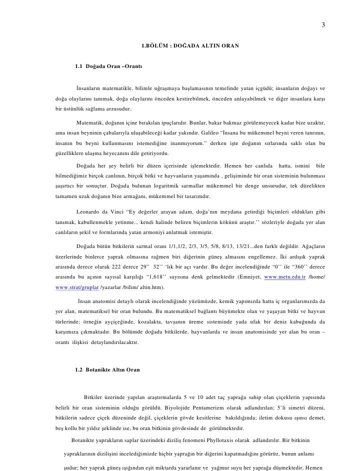 Altin oran 15 728.jpg?cb=1266599837