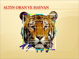 Altın oran