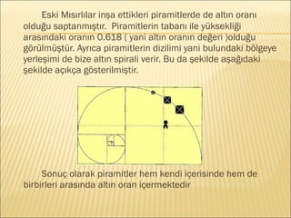 Eski Mısırlılar inşa ettikleri piramitlerde de altın oranı
olduğu saptanmıştır. Piramitlerin tabanı ile yüksekliği
arasındaki oranın 0.618 ( yani altın oranın değeri )olduğu
görülmüştür. Ayrıca piramitlerin dizilimi yani bulundaki bölgeye
yerleşimi de bize altın spirali verir. Bu da şekilde aşağıdaki
şekilde açıkça gösterilmiştir.
Sonuç olarak piramitler hem kendi içerisinde hem de
birbirleri arasında altın oran içermektedir
 