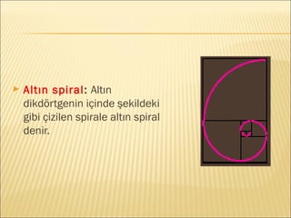 ► Altın spiral: Altın
dikdörtgenin içinde şekildeki
gibi çizilen spirale altın spiral
denir.
 
