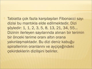  Tabiatta çok fazla karşılaşılan Fibonacci sayı
dizisi bu mantıkla elde edilmektedir. Dizi
şöyledir: 1, 1, 2, 3, 5, 8, 13, 21, 34, 55…
Dizinin ilerleyen sayılarında alınan bir terimin
bir önceki terime oranı altın orana
yakınlaşmaktadır. Bu dizi deniz kabuğu
spirallerinin oranlarını ve ayçiçeğindeki
çekirdeklerin dizilişini belirler.
 