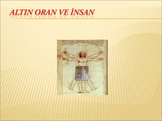 Altın oran