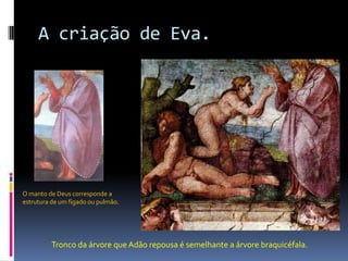 A criação de Eva.O manto de Deus corresponde a estrutura de um fígado ou pulmão.Tronco da árvore que Adão repousa é semelhante a árvore braquicéfala.